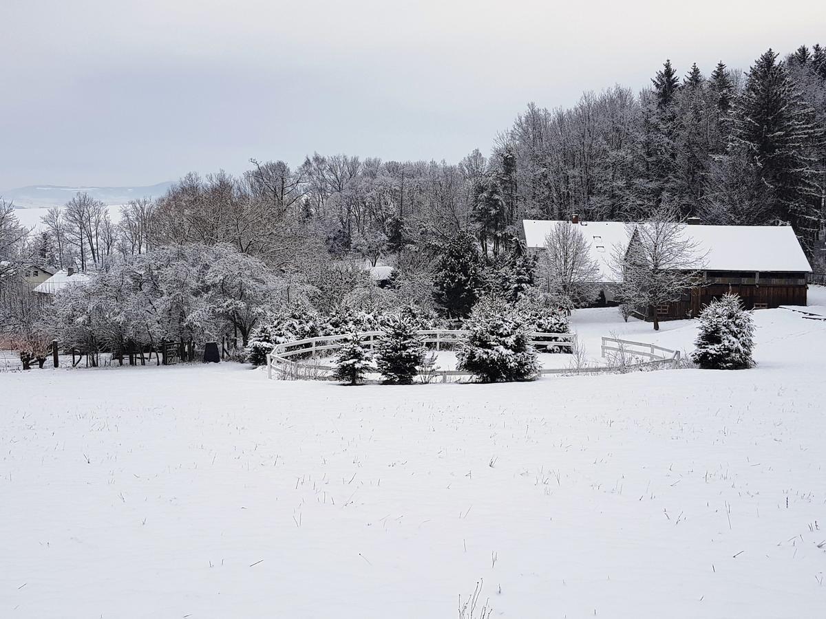 Pension U Sebastiana Hodousice Bagian luar foto